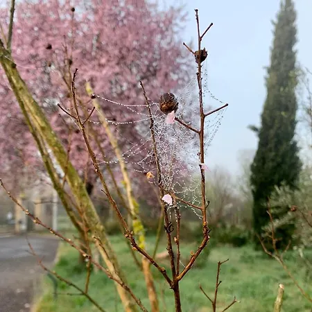 Oltre La Siepe Nepi