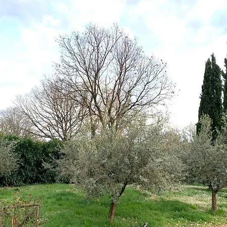 Oltre La Siepe *
